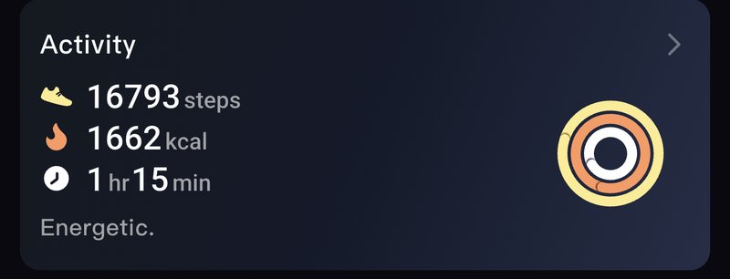 16.793 pasos en un solo día: la escala del RAI se siente en los pies